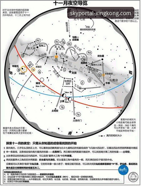 星空入口平台最新评测：星空官网靠谱吗？深度解析与用户反馈